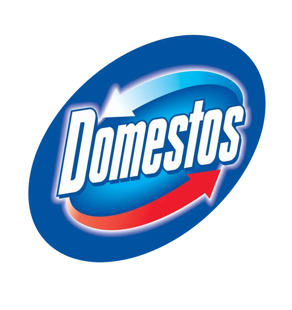 لوگوی دامِستوس